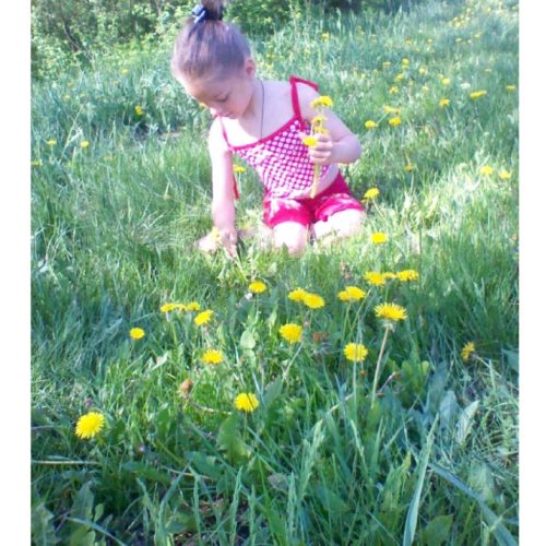 18. Păpădiile _ Dandelions