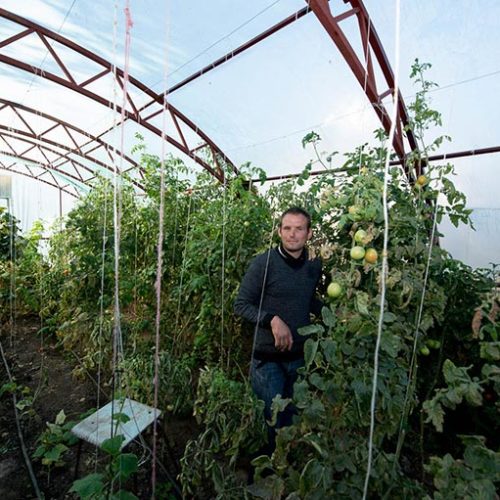 Greenhouse for vegetables