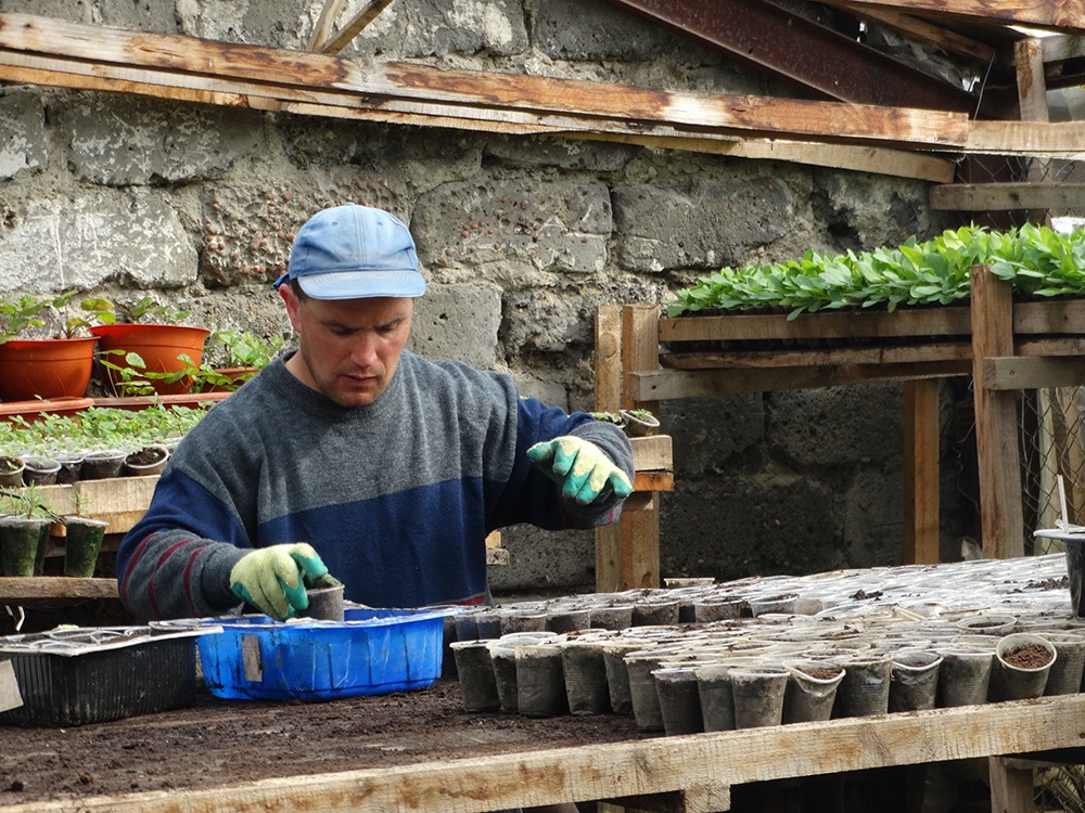 Man gardening